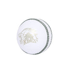 CSK Tournament Leather Ball - (Pack of 2)