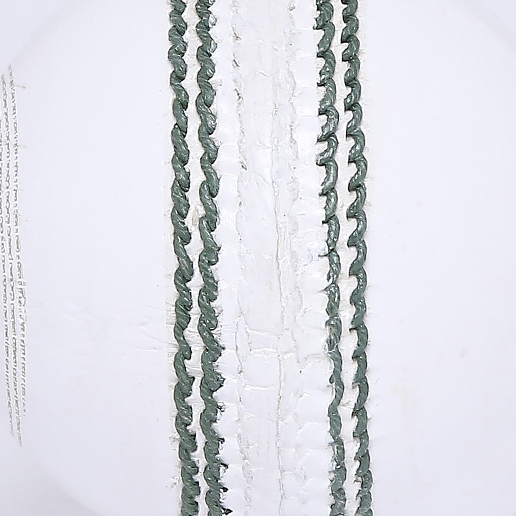 CSK Tournament Leather Ball - (Pack of 2)