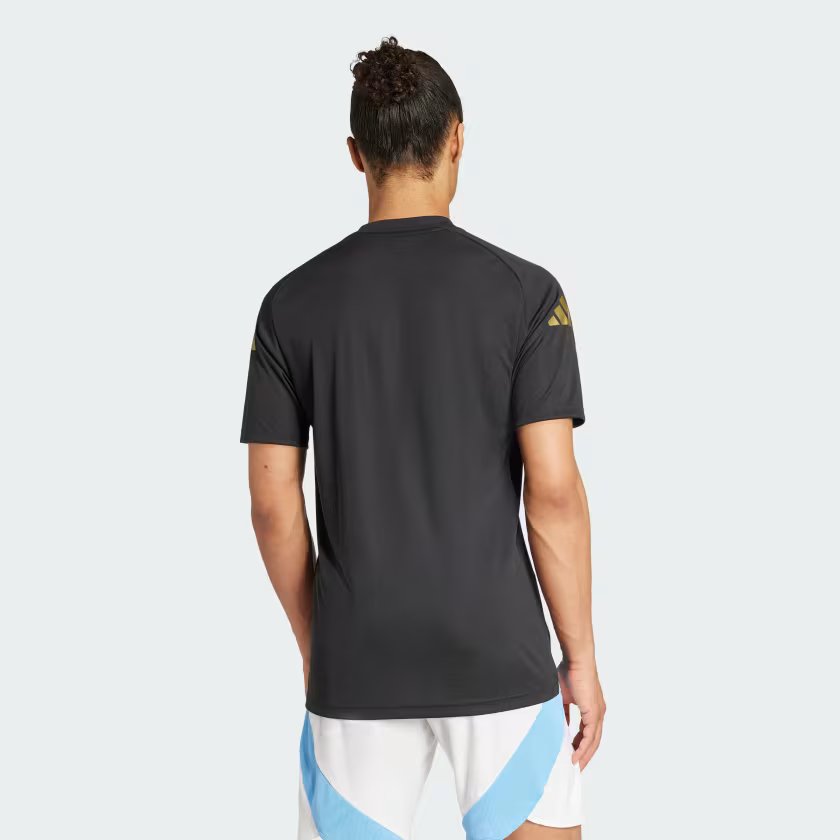 Adidas x Argentina Men Adult AFA PRESHI Football Jersey Round Neck Regular Fit for All Season Secondary image