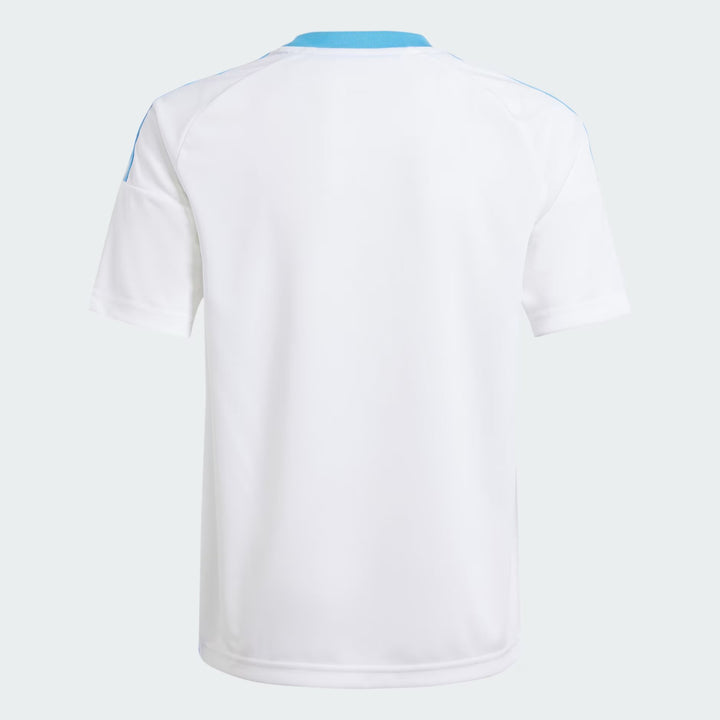 Adidas x Argentina Men Adult Football AFA H JSY FAN Round Neck Regular Fit Polyester for All Season