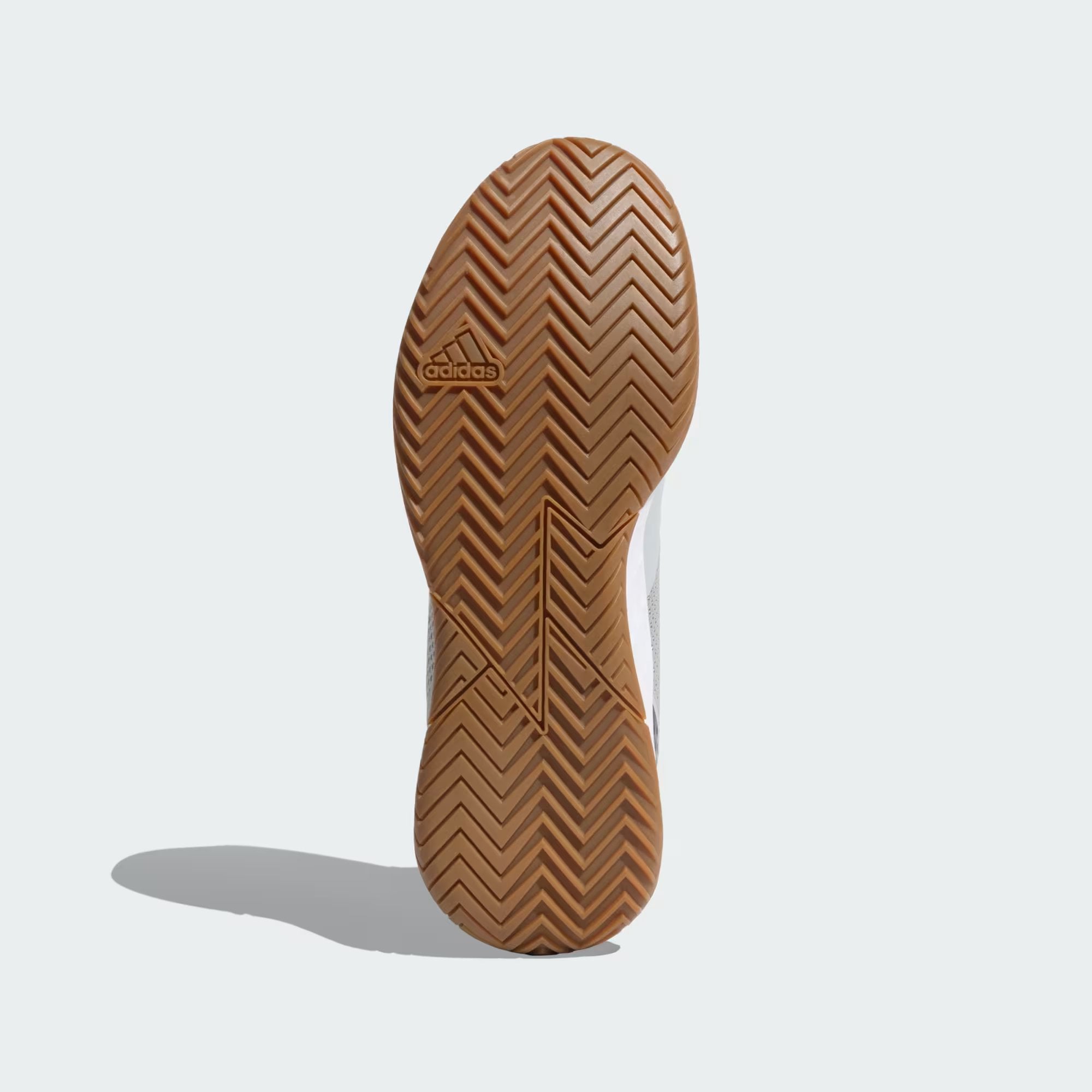 Baseliner V2 Indoor Shoes