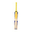 CSK Roar - English Willow Bat