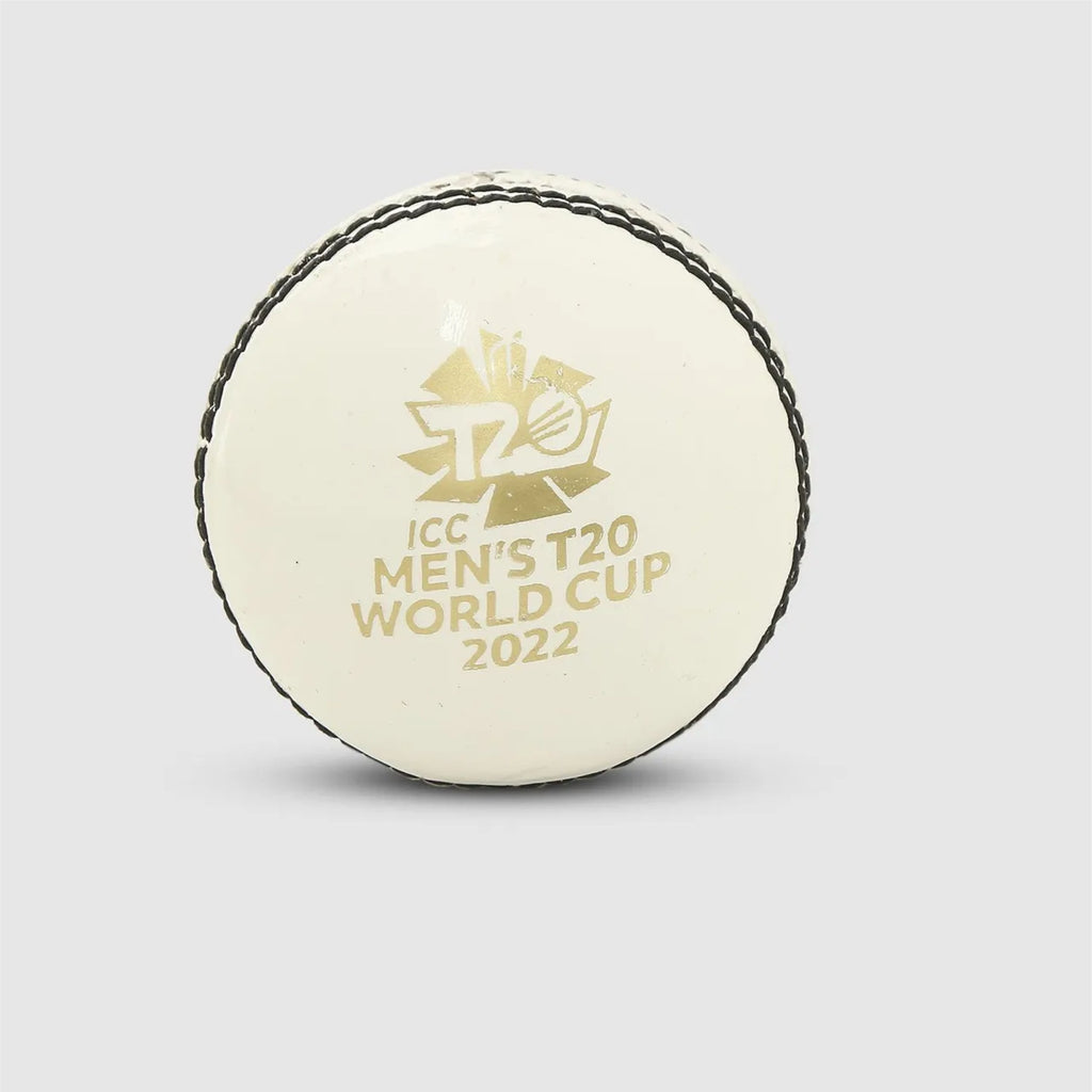 Club Leather Ball (Pack of 2)